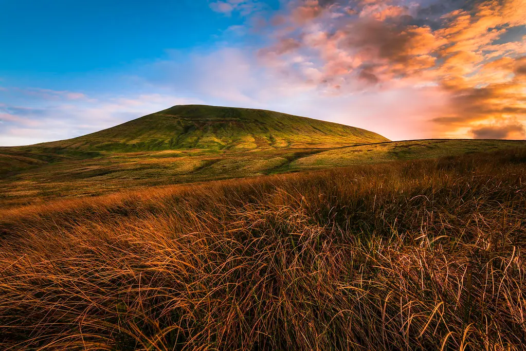 Pendle Hill from the reeds